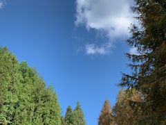 -山王坪喀斯特国家生态公园