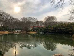 -河南省黄河迎宾馆