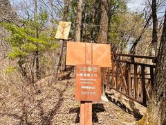 -王顺山国家森林公园