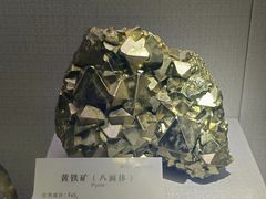 -湖南省地质博物馆