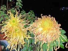 -共青国家森林公园-南大门停车场