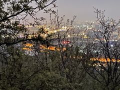 -紫金山山顶公园