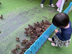 -萌宠亲子动物乐园(槐房万达店)