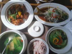 -臻康乃馨月子中心(集美店)