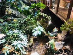 -聚缘堂·海鲜私房菜(松岭路店)