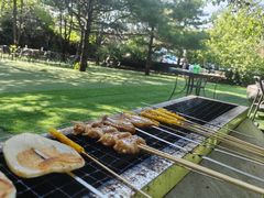 -尚庄度假村·庭台树下·户外烧烤·团建CS·轰趴营地(上庄水库店)