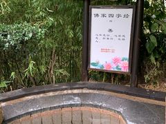 -威海天沐温泉度假区