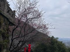 -韬光茶庵