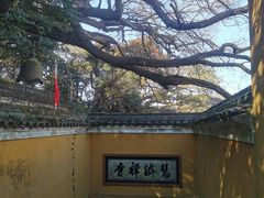 -普陀山慧济禅寺