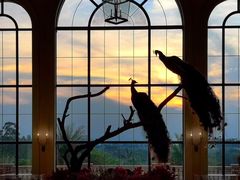 -美林湖温泉别墅度假村