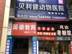 -宠颐生贝利健动物医院(谢家湾分院)