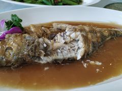 -红高粱大酒店(宁山东路店)