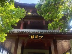 -白马涧龙池景区