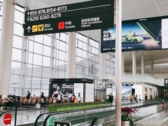 -广州白云国际机场-T2航站楼