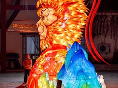 -大塘金香草谷