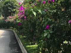 -怡得观滇餐厅·地道昆明菜·1996(海埂大坝店)