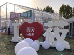 -九十九顶毡房(阜石路店)