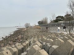 -上海滨江森林公园