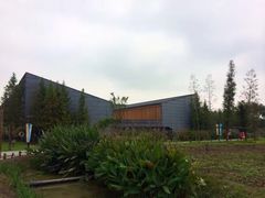 -田园东方蜜桃村的田野营地
