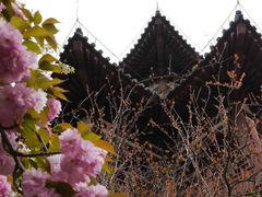 -西安青龙寺遗址景区