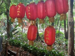 -抚仙湖生态石锅鱼野生菌(告庄店)