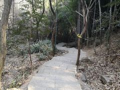 -穹窿山景区