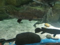 -多彩贵州城极地海洋世界