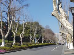 -浙江大学(玉泉校区)
