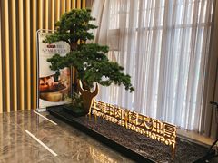 -德天雪花肥牛海鲜火锅(南苑东路店)