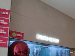 -老板恋上鱼(恒隆广场店)