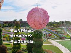 -上海共青森林公园