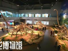 -自贡恐龙博物馆