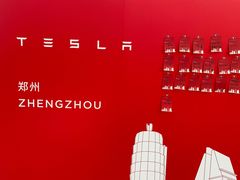 -TESLA 特斯拉(郑州正弘城体验店)