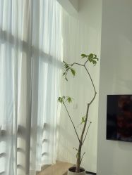 -JNK皮肤管理中心