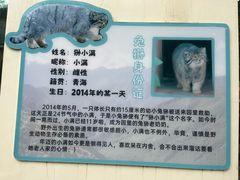 -青藏高原野生动物园