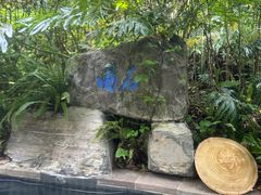 -腾冲洞山温泉村