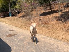 -南京汤山紫清湖生态旅游温泉度假区