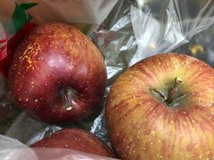 -韩妹鱼庄·泸定老字号(泸定店)