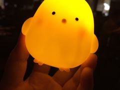 -同仁四季椰子鸡(福田车公庙店)