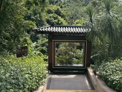 -三亚亚龙湾人间天堂鸟巢度假村