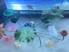 -大桶大足浴(南翔店)