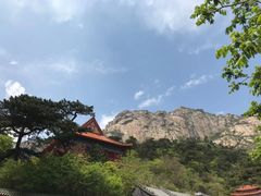 -大芦花风景区