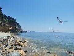 -大连金石滩滨海国家地质公园