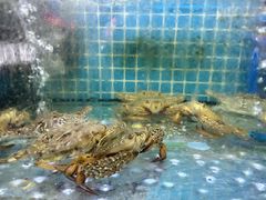 -陈小厨海鲜大咖·15年平潭味(龙王头店)