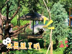 -云南野生动物园