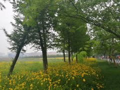 -尚贤河湿地