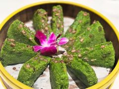 -阿露佳·舌尖上的安吉菜