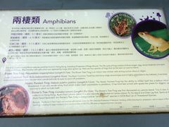 -南丫岛