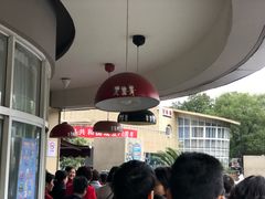 -杭州师范大学附属小博士艺术幼儿园