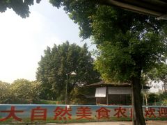 -大自然美食农庄(广州南站店)